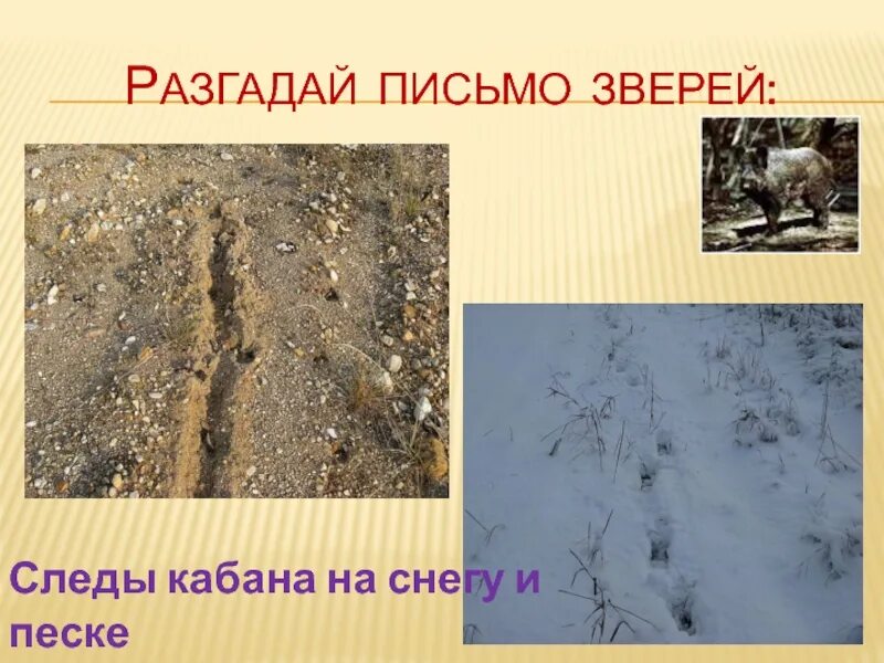 Разгадала послание и спасла девушку