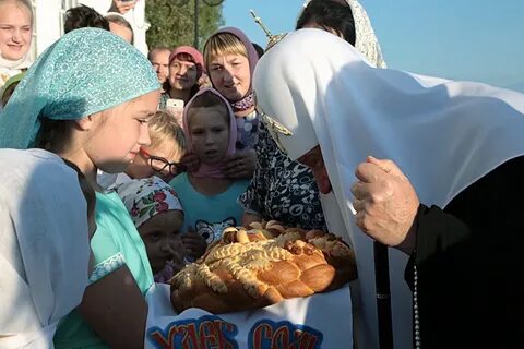 Новость целиком