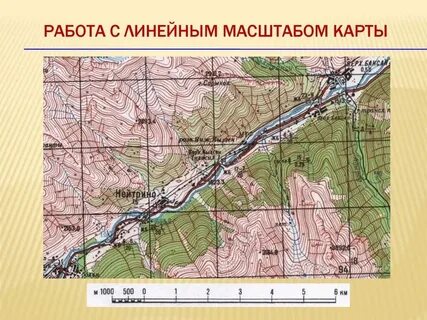 К крупномасштабным картам относятся