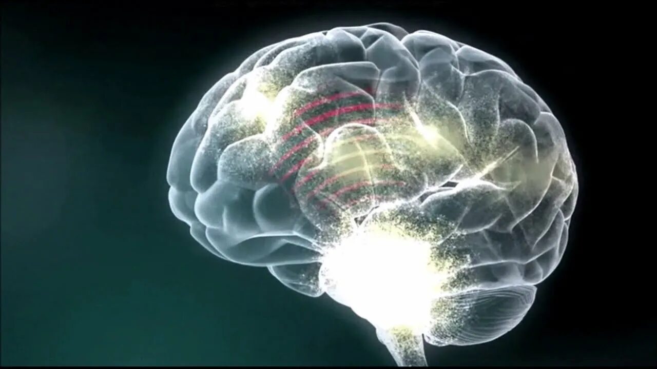 Нейроны мозга. Нейронные связи в мозге. Холодный мозг. Brain effect