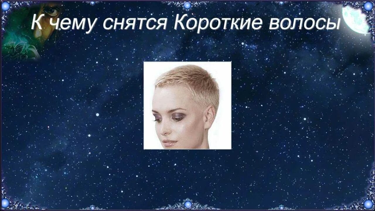 Имя для черного кота. Сонник если снится человек. К чему снится знакомая женщина. К чему снится короткое черное. К чему снится юбка.