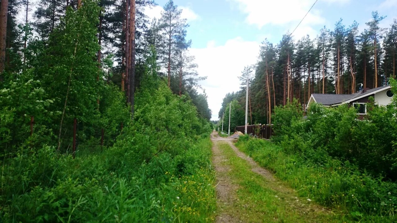Земля в гатчине