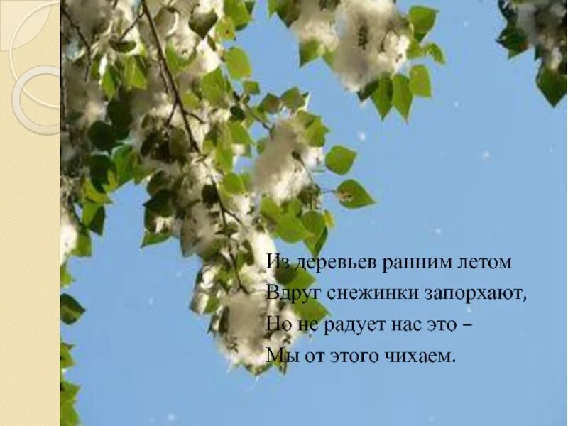 Летит пух с тополей летит самолет. Тополиный пух. тополиный пух летает. тополь пух. тополиный пух анимация.