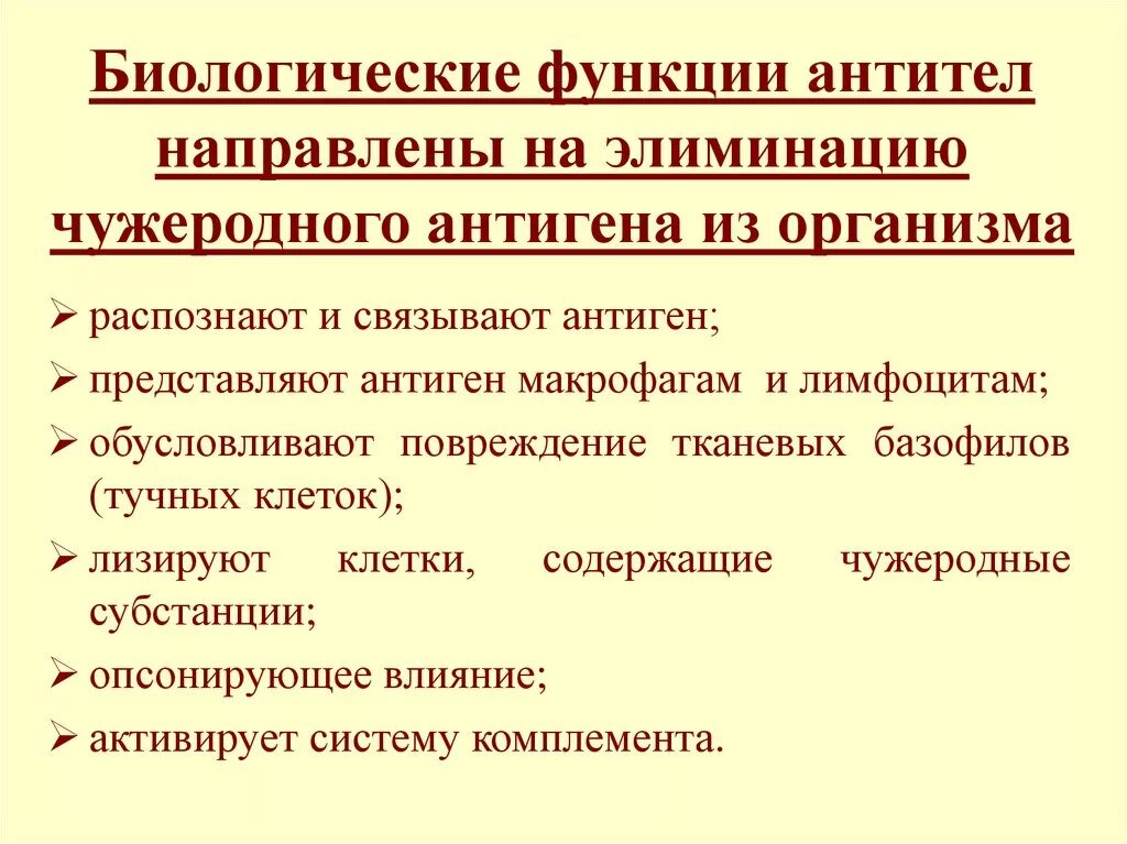 Роль антител в организме