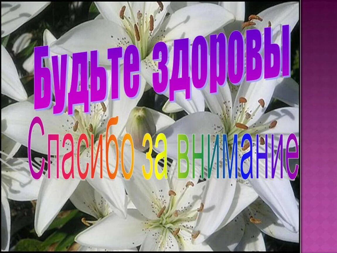 А также крепкого здоровья. Спасибо за внимание крепкого вам здоровья. Спасибо и вам здоровья. Спасибо за внимание здоровье. Спасибо за здоровье.