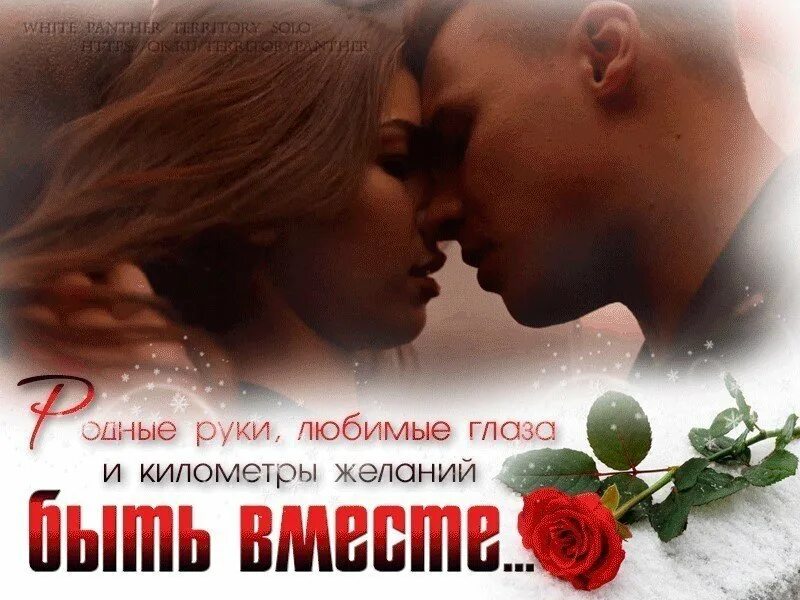 Хочешь я тебе фотку дам. Цветы для любимого мужчины. Нежность счастье. Открытка любимому. Поцелуй.