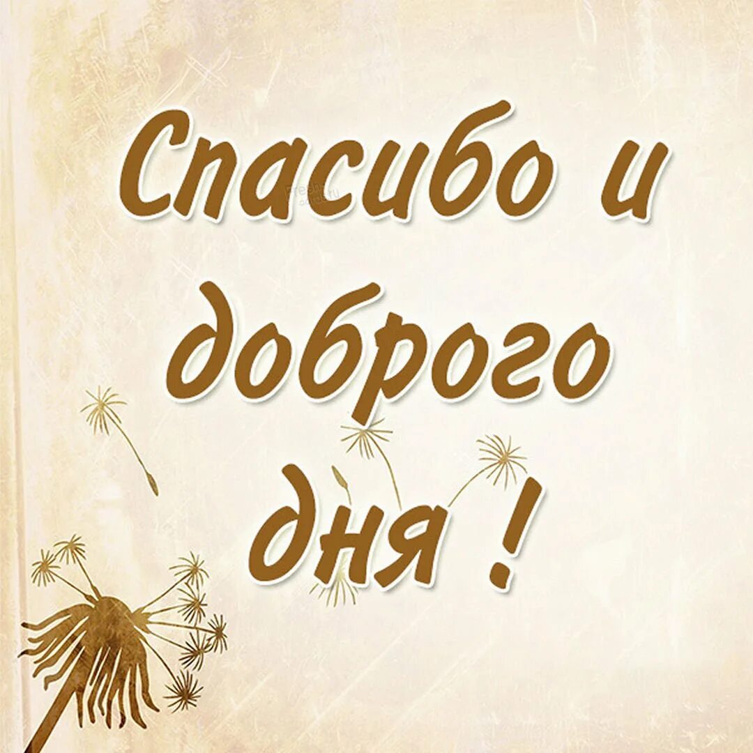 Благодарю мужчине открытка. Спасибо мужчине. Поздравление спасибо. Спасибо картинки. Спасибо большое мужчине.