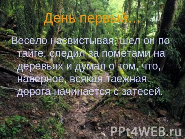 А он шел по свету насвистывал. Цитаты о тайге. Законы тайги Васюткино озеро. Восюткино озеро "Зоконы тайги. Васюткино озеро Таежные законы.