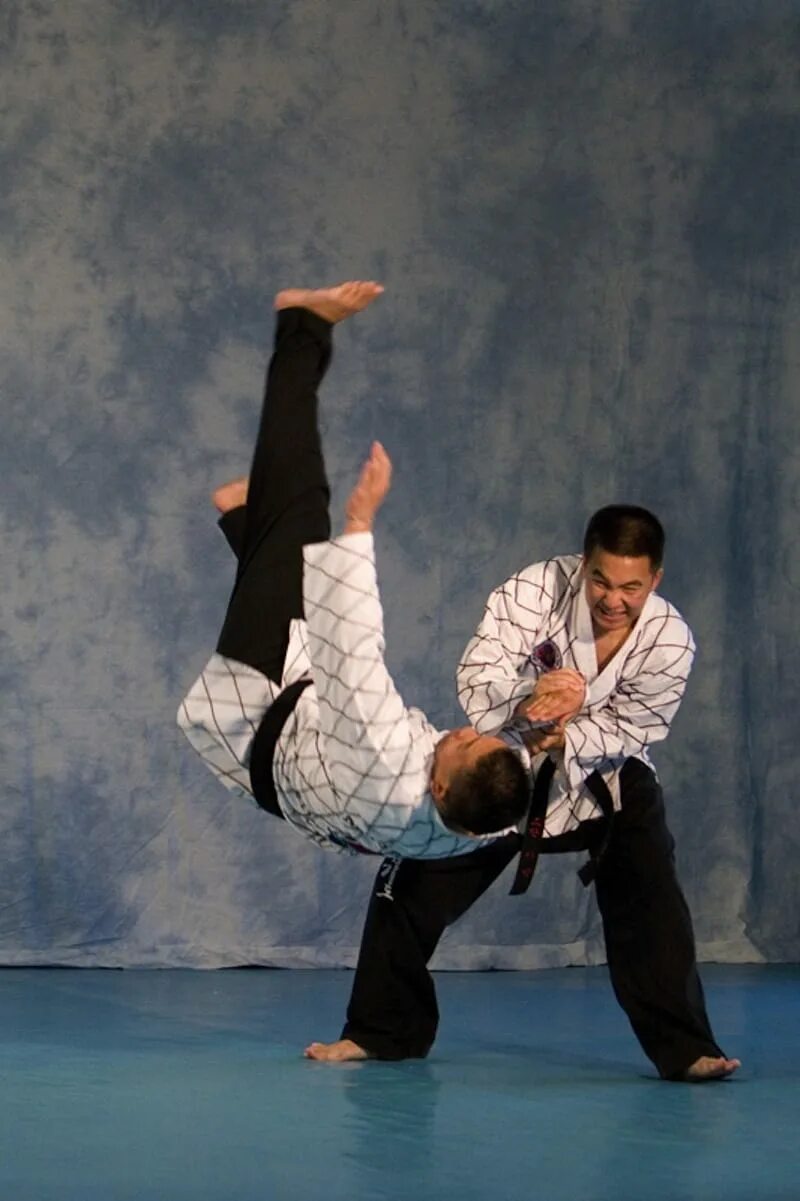 Спорт хапкидо. Хапкидо. Спорт хапкидо. Что за спорт хапкидо. Хапкидо.