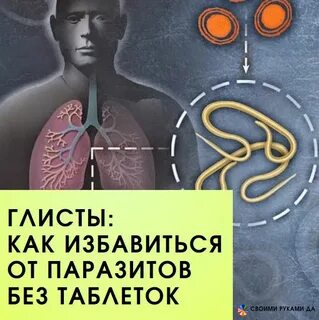 Глисты как избавиться