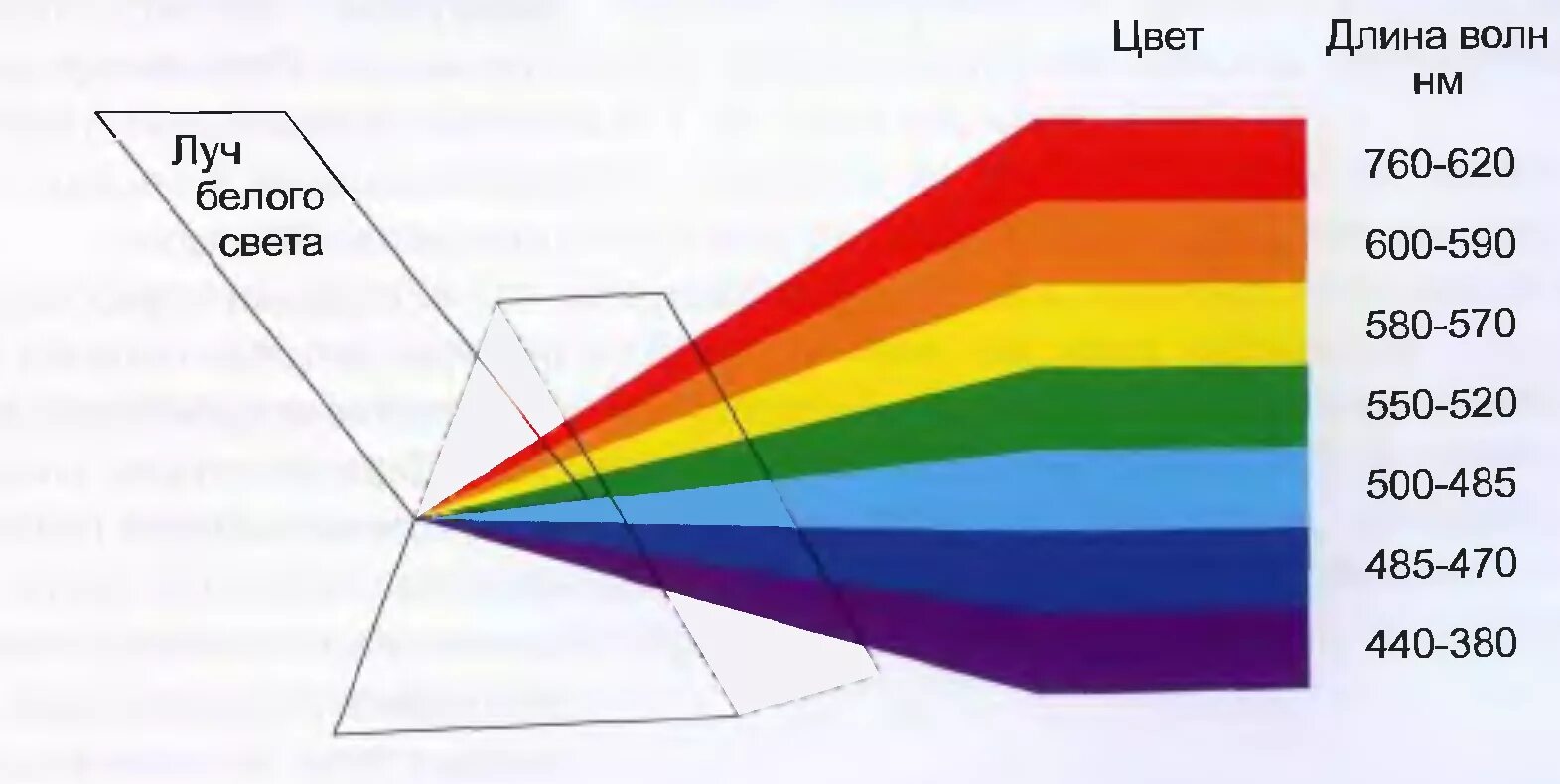 Цветовой спектр длина волны. Длина волны спектра света. Длина световой волны. Длина волны цветового спектра.