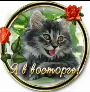 Восхитительно невероятно