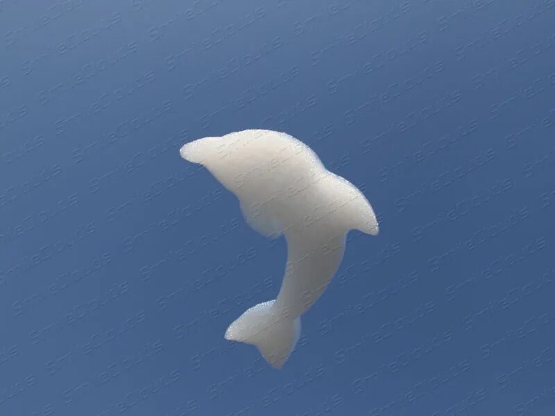 Картинка облако дельфин. Облака похожие на животных. Дельфин в облаках. Дельфин облака. Дельфин в облаках.