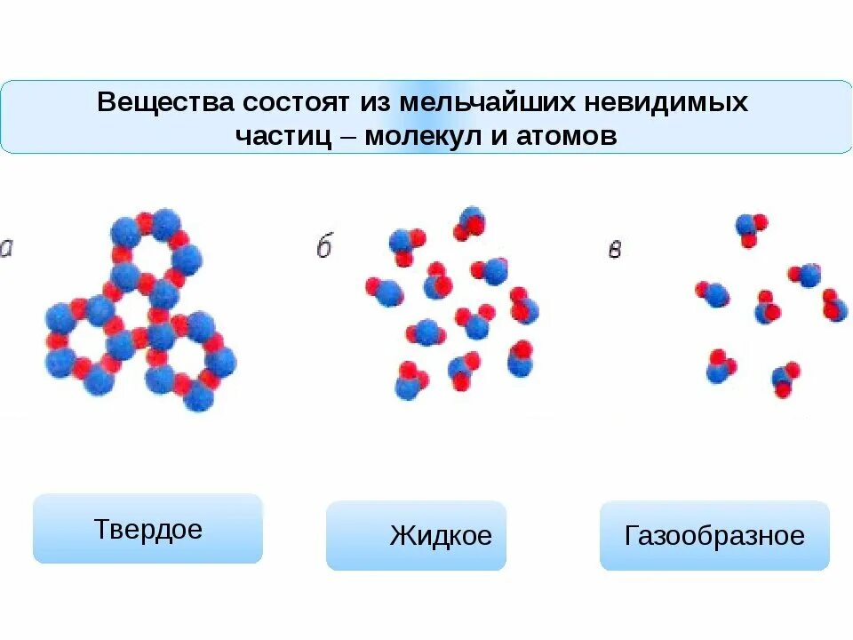 Из чего состоит - CoffeePapa.ru