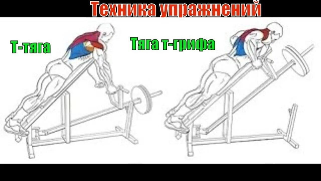 Тяга т 16. Тяга т грифа. тяга т грифа мышцы. тяга т-грифа в тренажере лежа. тяга т грифа с упором.