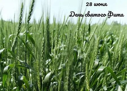 28 июня день