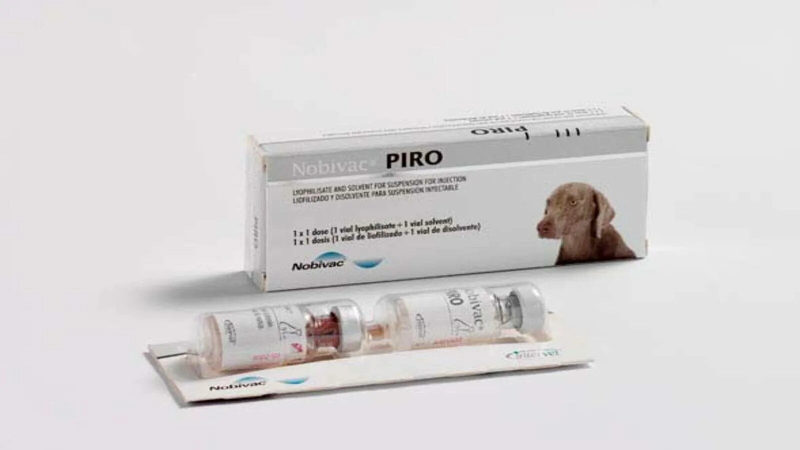 Вакцина для собак Nobivac. Вакцина от бабезиоза собак. Пиродог вакцина. Вакцины против пироплазмоза собак.