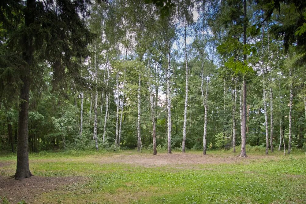 подслушано малаховка