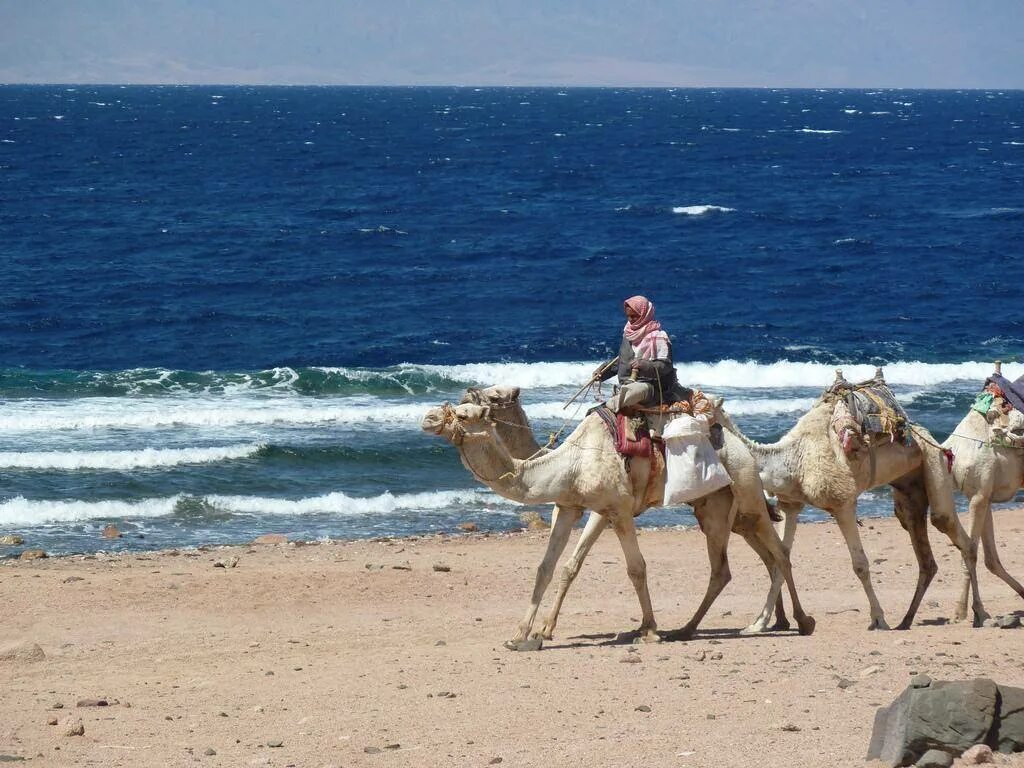 Каир море. Дахаб 2023 Египет. Шарм-Эль-Шейх. Египет море. Египет пляж.