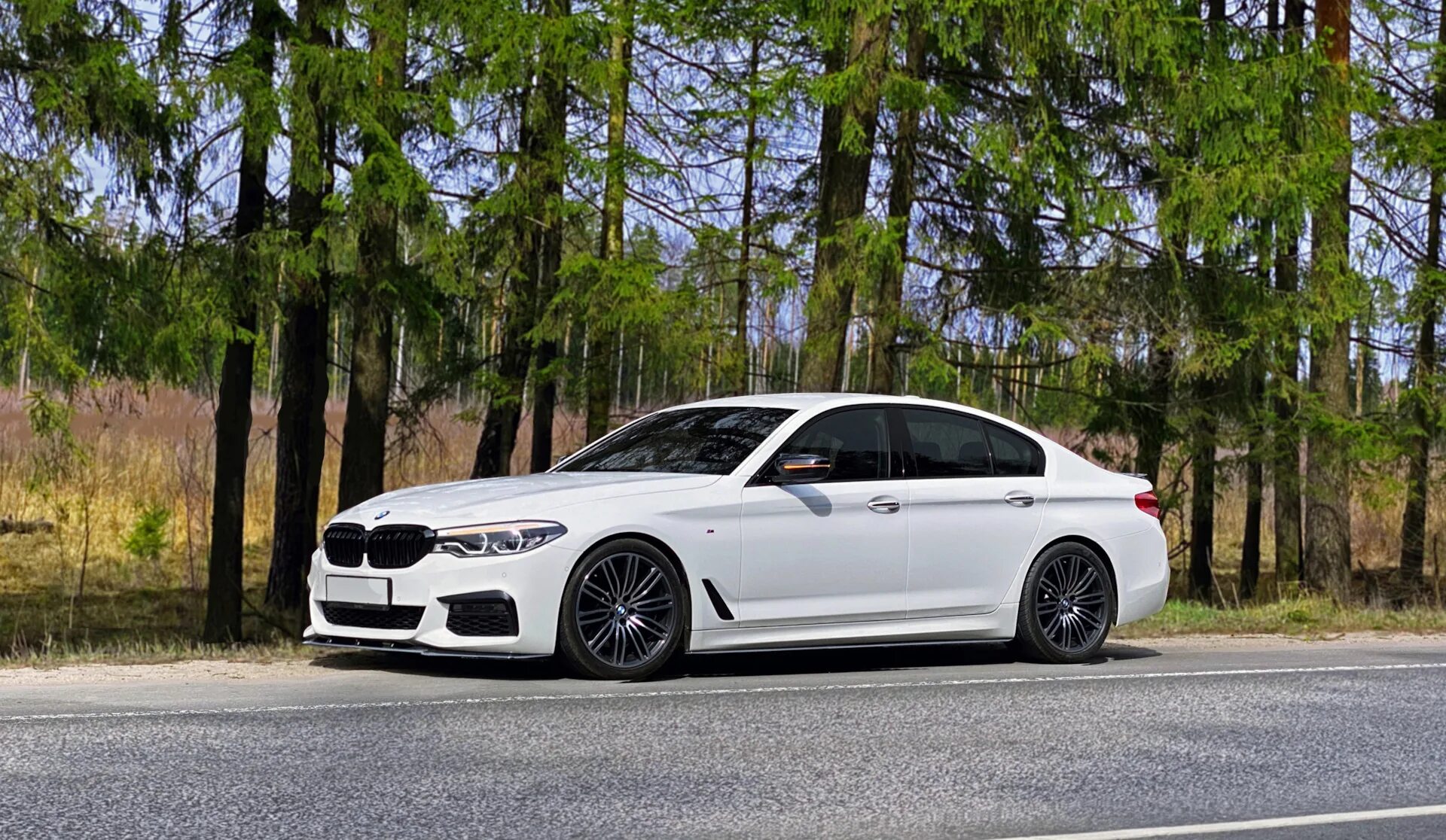 Бмв g30 тонированная. Bmw g30 тонировка 35%. Bmw 5 g30 grey. Bmw 5 g30 белая. Bmw g30 carbonschwarz.