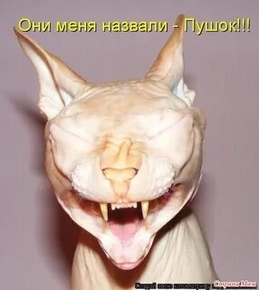 Порой страшно