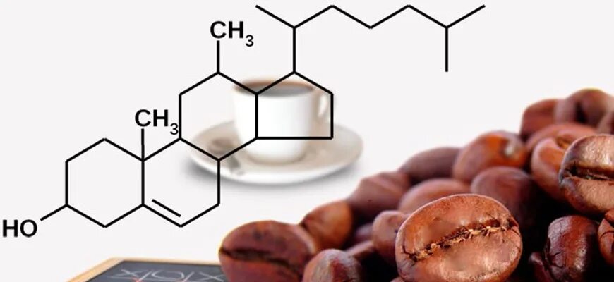 Богатая кофеином. Влияние кофеина. Кофеин в организме человека. Влияние кофеина на организм человека. Кофе и холестерин.