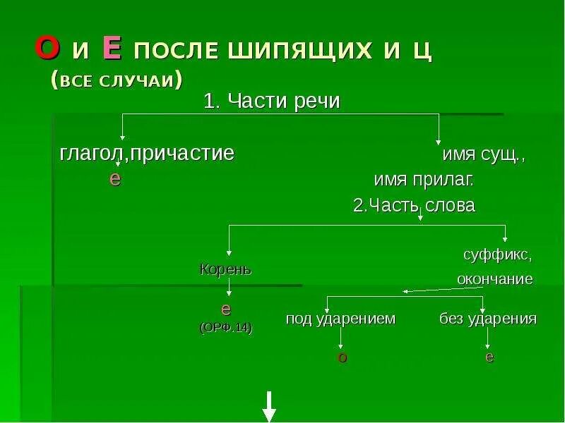 Родник шипящим на конце. О-Ё после шипящих. Орфографические и синтаксические задачи. Окончания глаголов после шипящих под ударением. О-Ё после шипящих в глаголах.