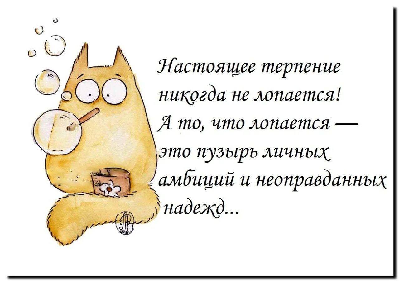 Терпение лопнуло. Открытки с терпением. терпение картинки прикольные. терпение лопается. терпение лопается картинки.