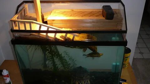 Как сделать аквариум для черепахи своими руками в домашних условиях