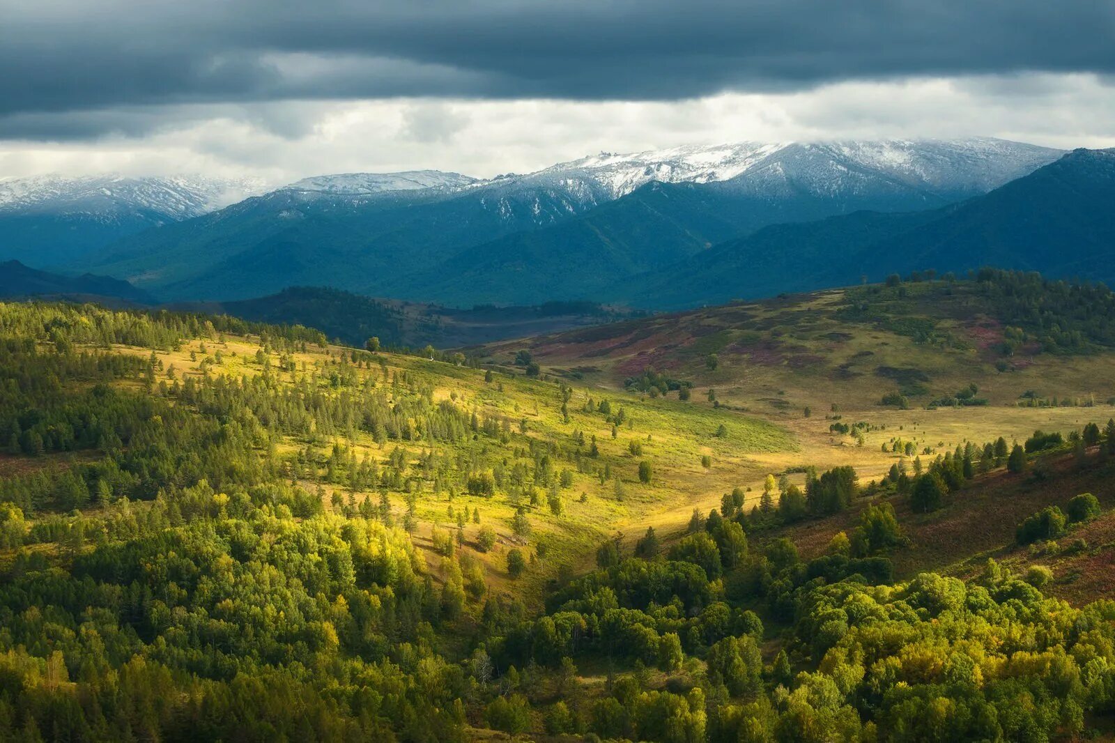 Краях добавить