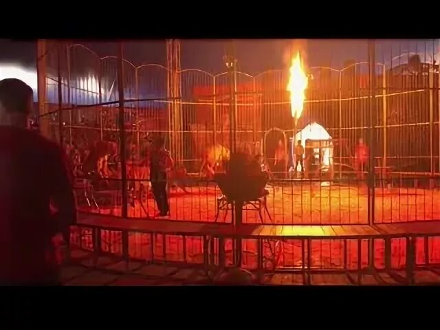 Цирк у глобуса в королеве. Империя нефтеюганск. цирк нефтеюганск. империя нефтеюганск цирк. цирк глобус электросталь.