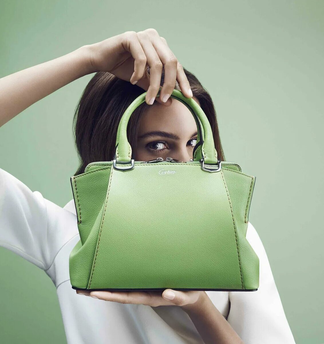 Сумки. Красивые сумки. Реклама сумок женских. Зелёная сумка женская. Show bags