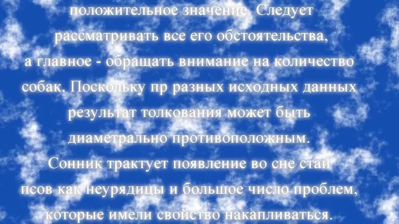 Что означает если снится собака. Сонник-толкование снов собака. толкование сна к чему снится собака. сонник собака к чему снится. видеть собаку во сне что означает.