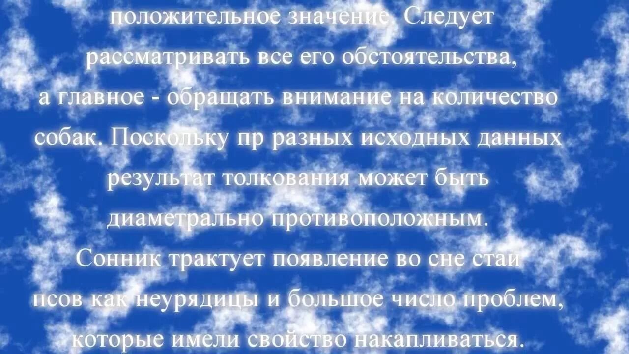 К чему снится собака умирает во сне. Сонник-толкование снов собака. Толкование сна к чему снится собака. Сонник к чему снится собака. Что означает видеть во сне собаку.