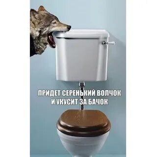 Про серенького волчка