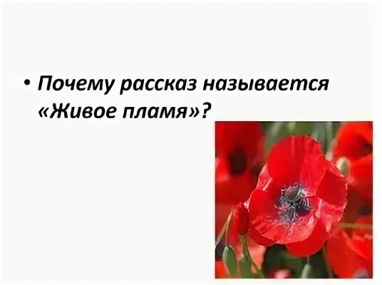 Почему живое пламя так называется