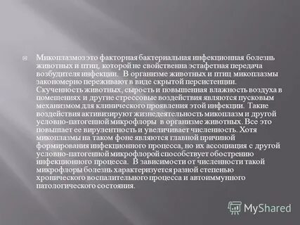 Микоплазмоз что это