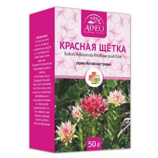 Трава красная щетка показания к применению
