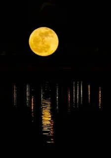 Moon gold