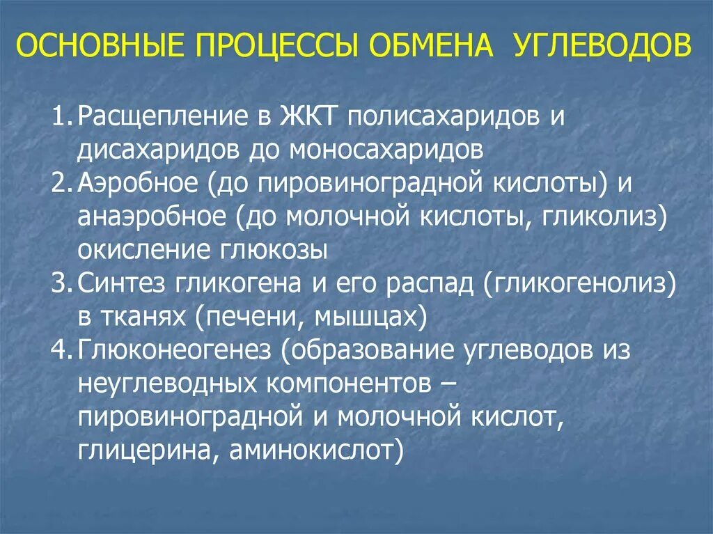 Правильная последовательность процессов расщепления углеводов