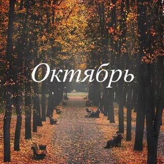 Октябрь месяц грусти и простуд
