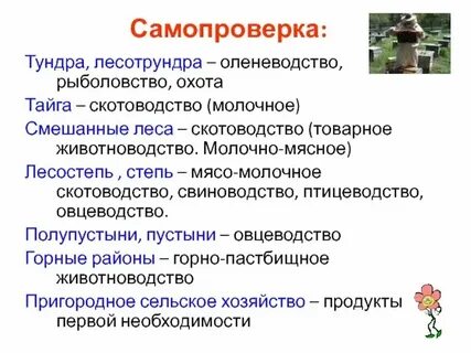 Какой тип животноводства наиболее развит в тундре