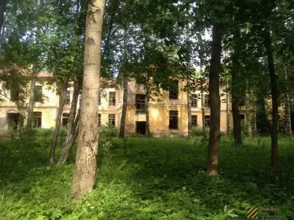 Госпиталь в пушкине