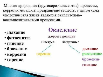 Химическое явление гниение