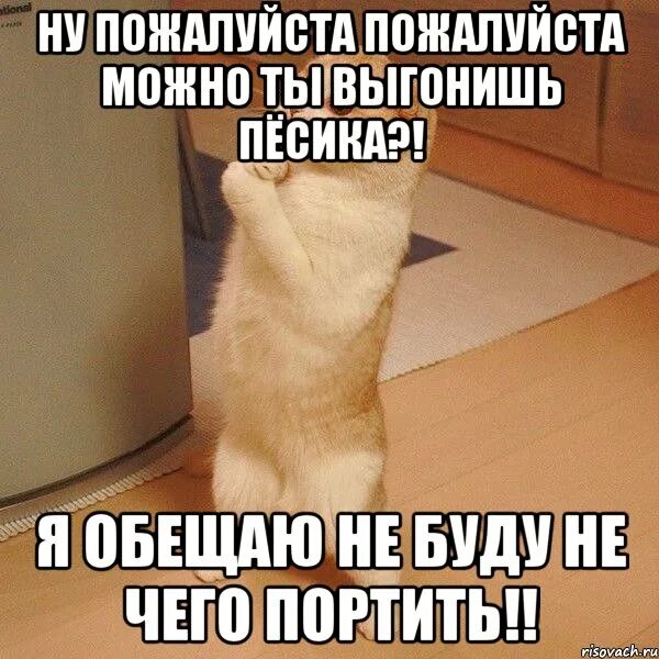 П можно пожалуйста. Сладких снов наташенька. ну пожалуйста пожалуйста пожалуйста. спасибо добрый человек. спокойной ночи наташенька.