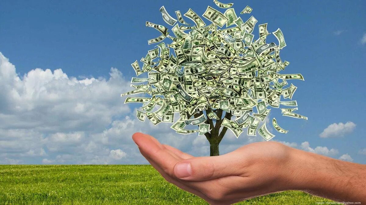 Богатство в многообразии. Дерево с деньгами. Богатство денежное дерево. Денежное дерево с деньгами. Деньги растут на деревьях.