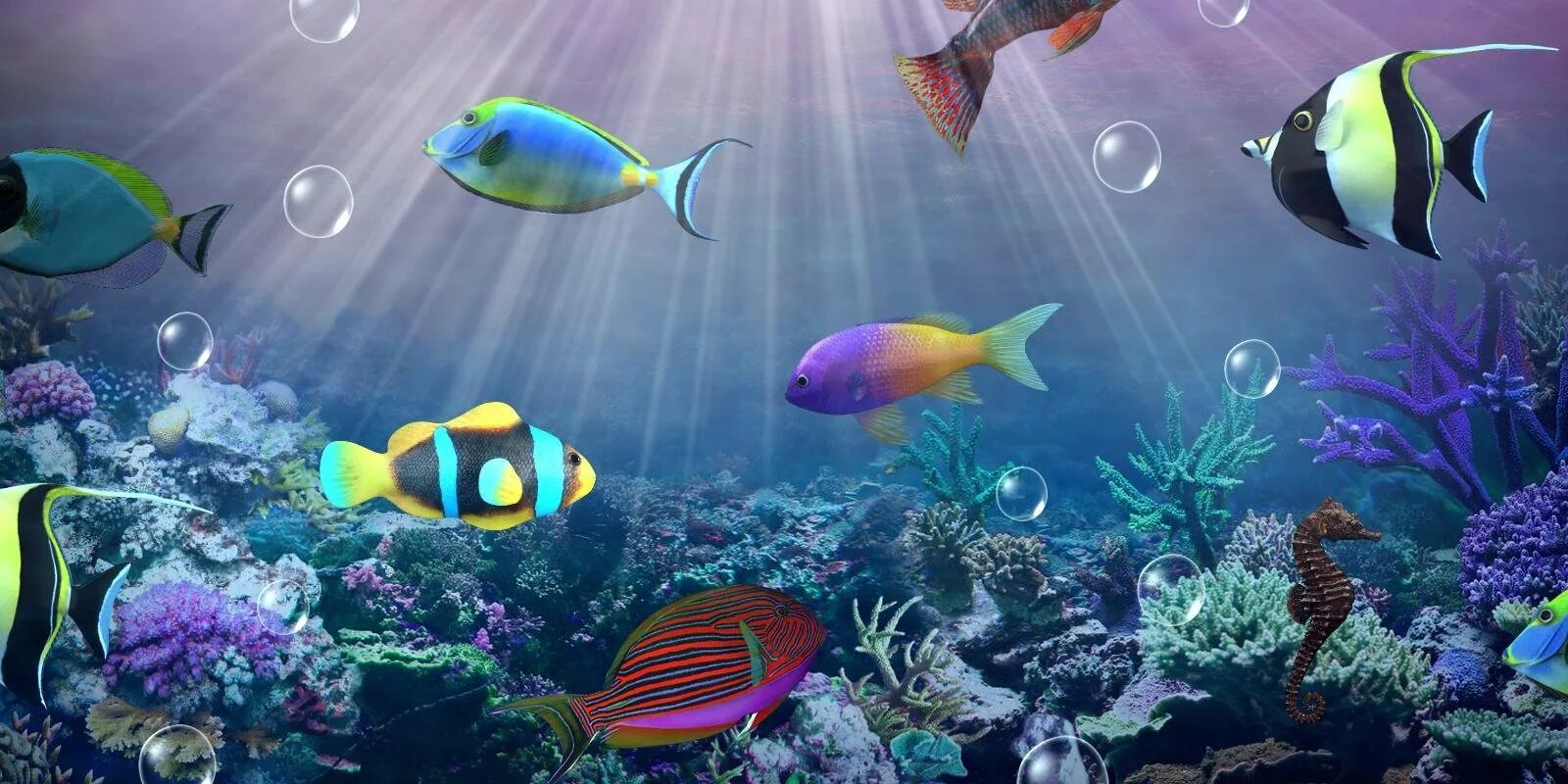 Живые плавающие обои. Живые рыбки. Рыбки для аквариума. Живой аквариум. Аквариум фон для рабочего стола.