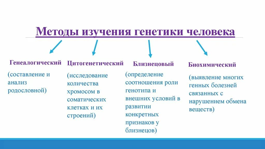 5 методов генетики человека