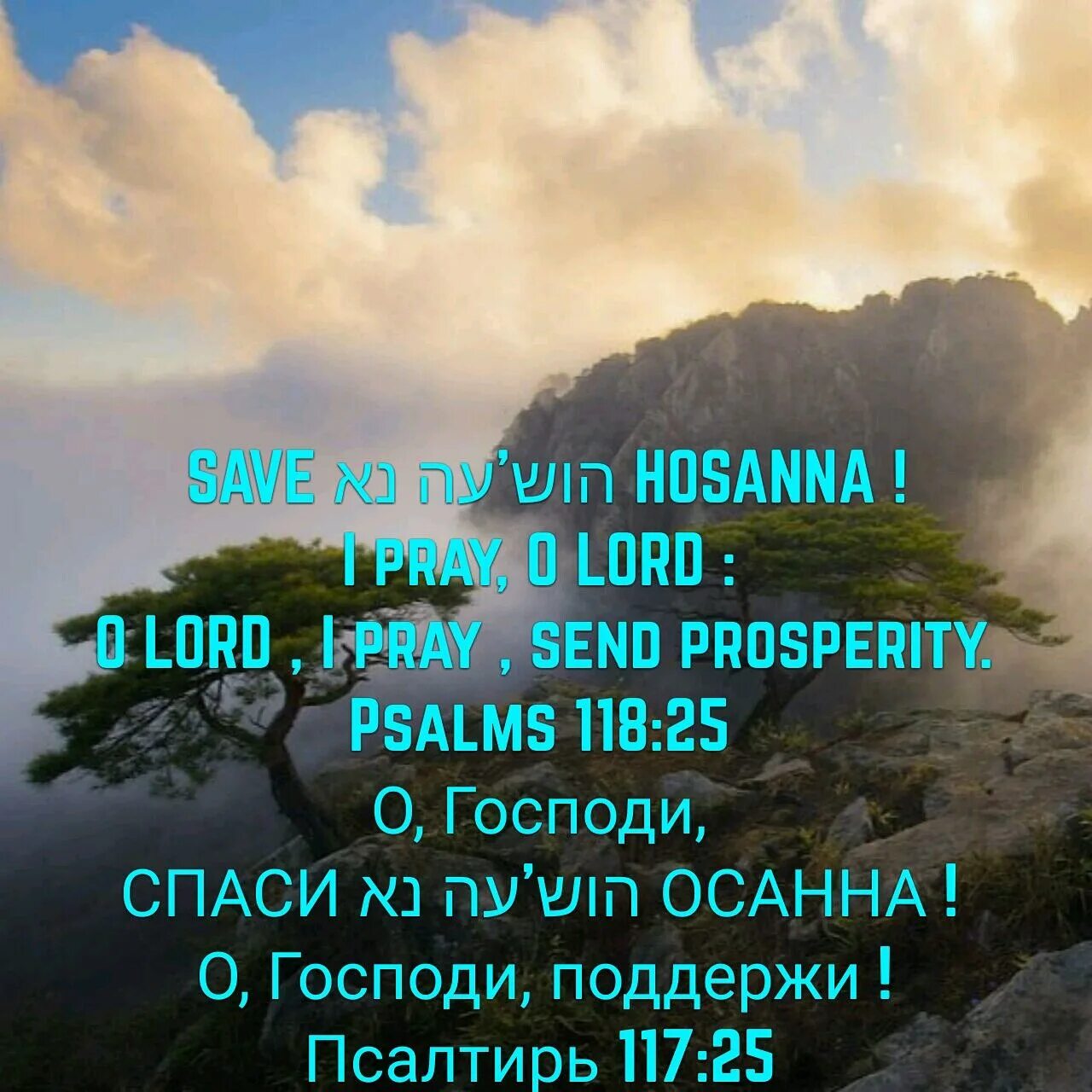 Псалом 117. Осанна Благословен грядущий во имя. Осанна в вышних Богу. Псалом 117,17.