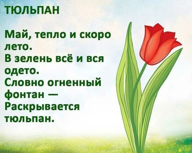 Текст хорошо весной кругом все зелено каждая. Стихи про цветы для детей. Стихи о цветах для детей. Стихотворение про цветы для детей. Стихи про цветы короткие.